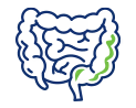 icon_Gastroenterology