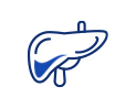 icon_Hepatology