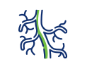 icon_Vascular